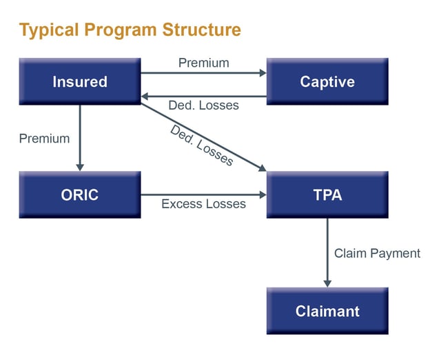 Captive Program